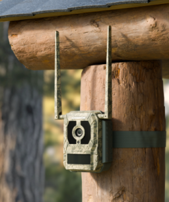 Reolink S130, 4K/8MP 4G LTE wildcamera met Live view en Starlight nachtzicht